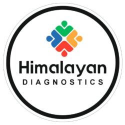 Ultrasound scan at Himalayan Diagnostics Dehradun